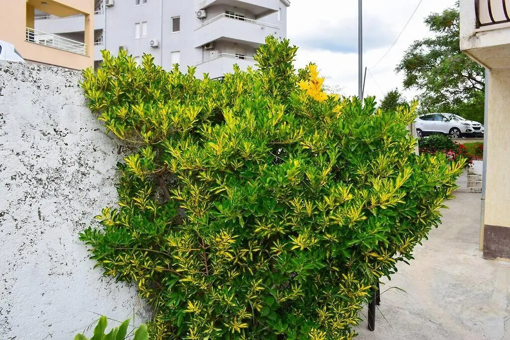 Apartments Marasovic - Lea Split